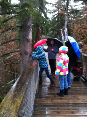 Die Jungen testen ihre Kr�fte am Wackelbaum.